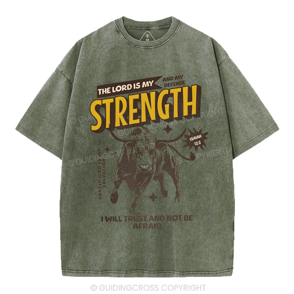 The Lord Is My Strength Chrsitian Washe d T-Shirt