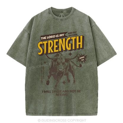 The Lord Is My Strength Chrsitian Washe d T-Shirt