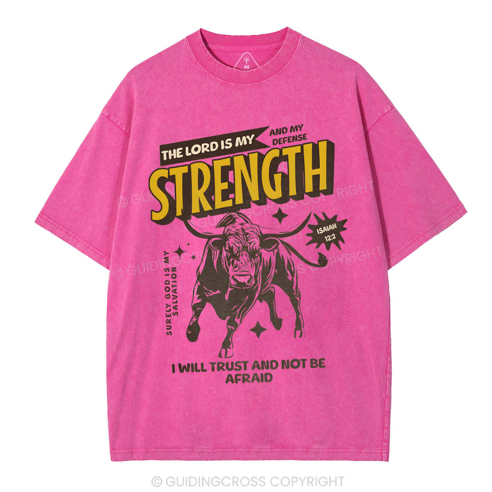The Lord Is My Strength Chrsitian Washe d T-Shirt