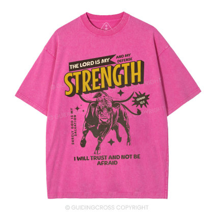 The Lord Is My Strength Chrsitian Washe d T-Shirt
