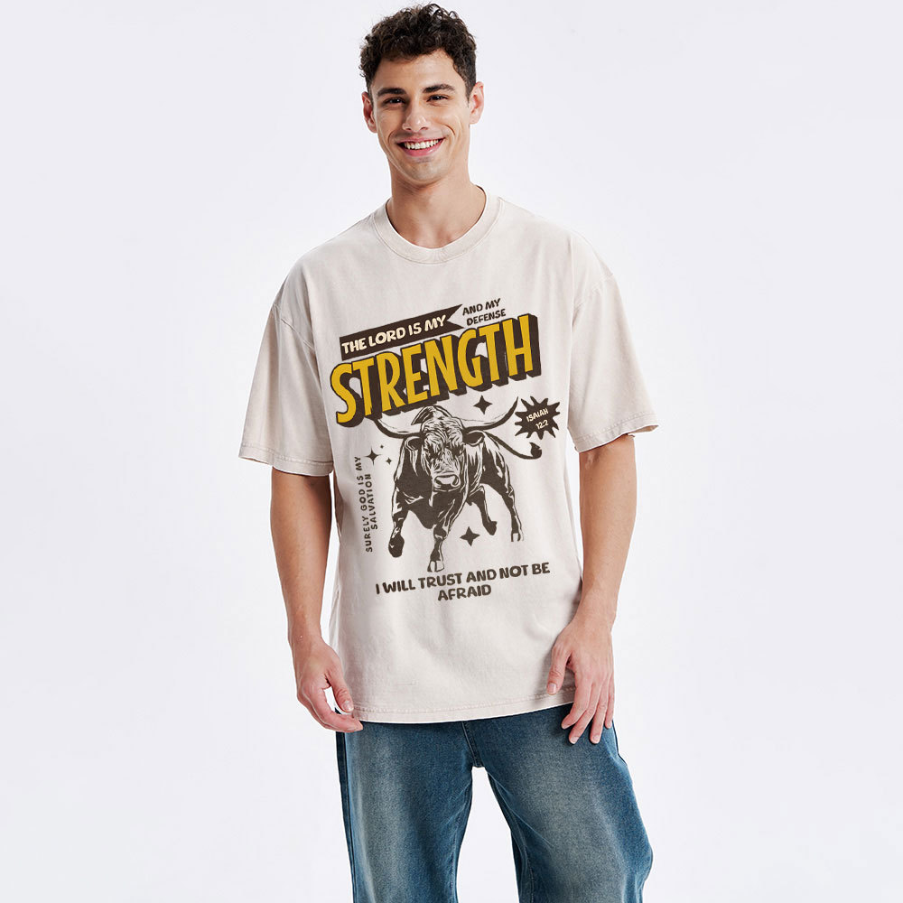 The Lord Is My Strength Chrsitian Washe d T-Shirt