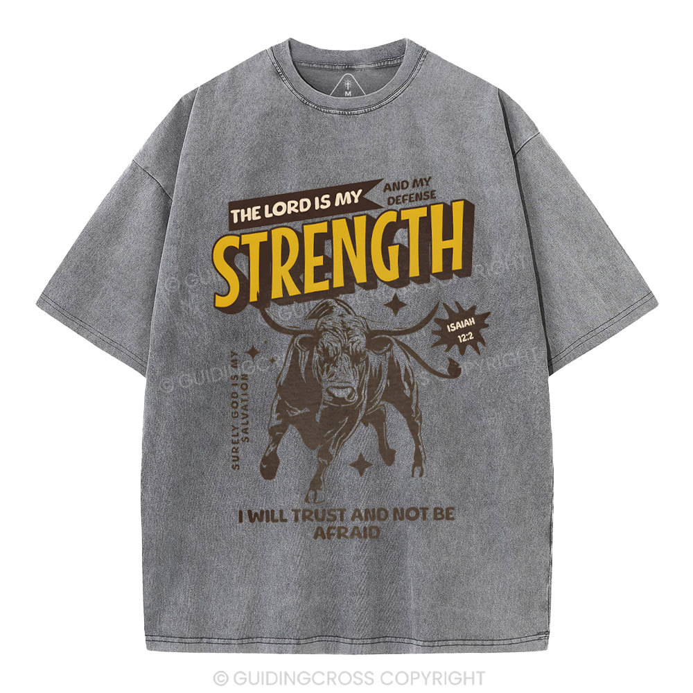 The Lord Is My Strength Chrsitian Washe d T-Shirt