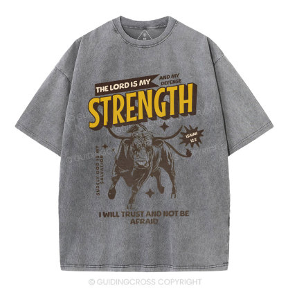 The Lord Is My Strength Chrsitian Washe d T-Shirt