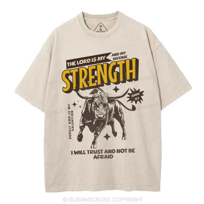 The Lord Is My Strength Chrsitian Washe d T-Shirt