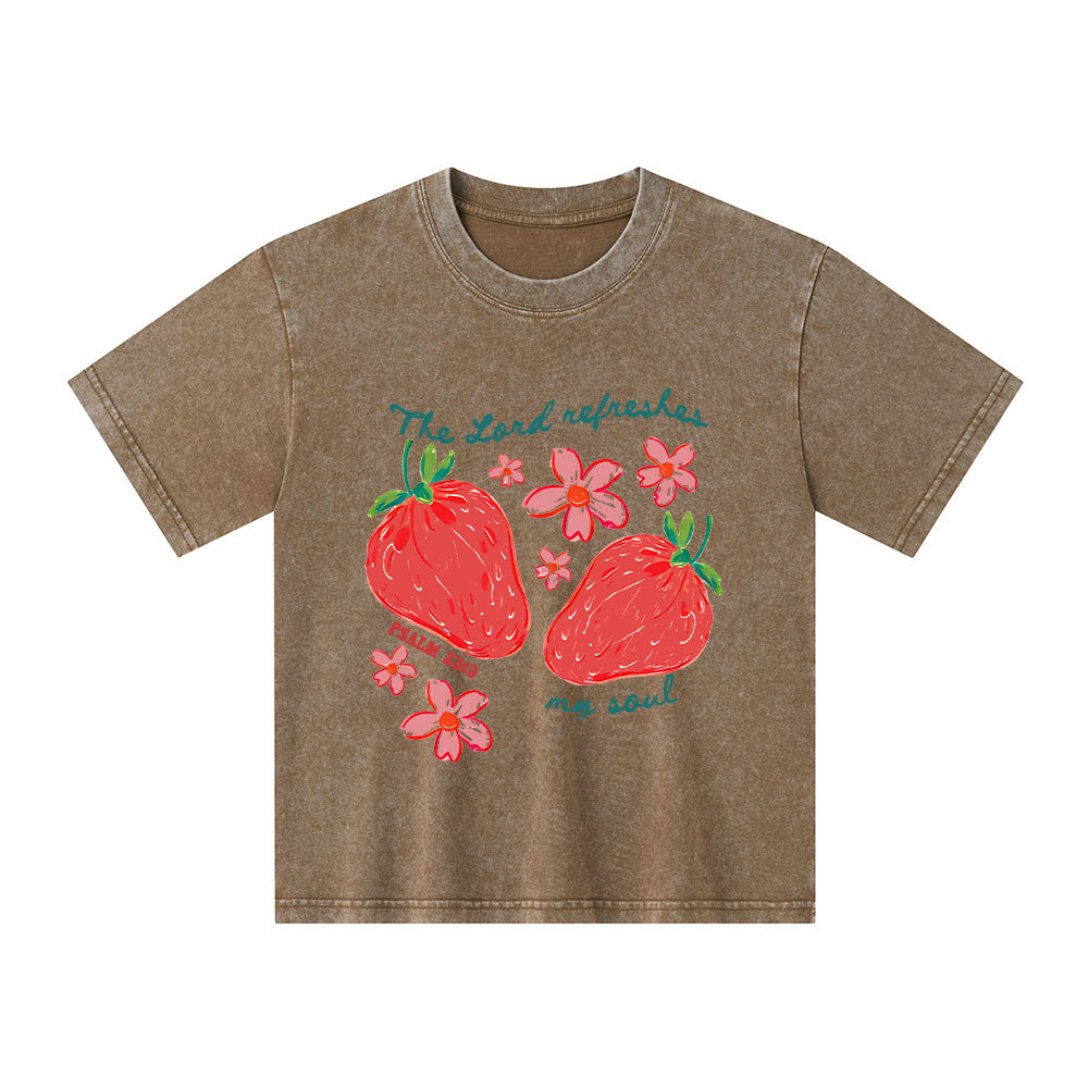 The Lord Refreshes My Soul Christian Washed T-Shirt