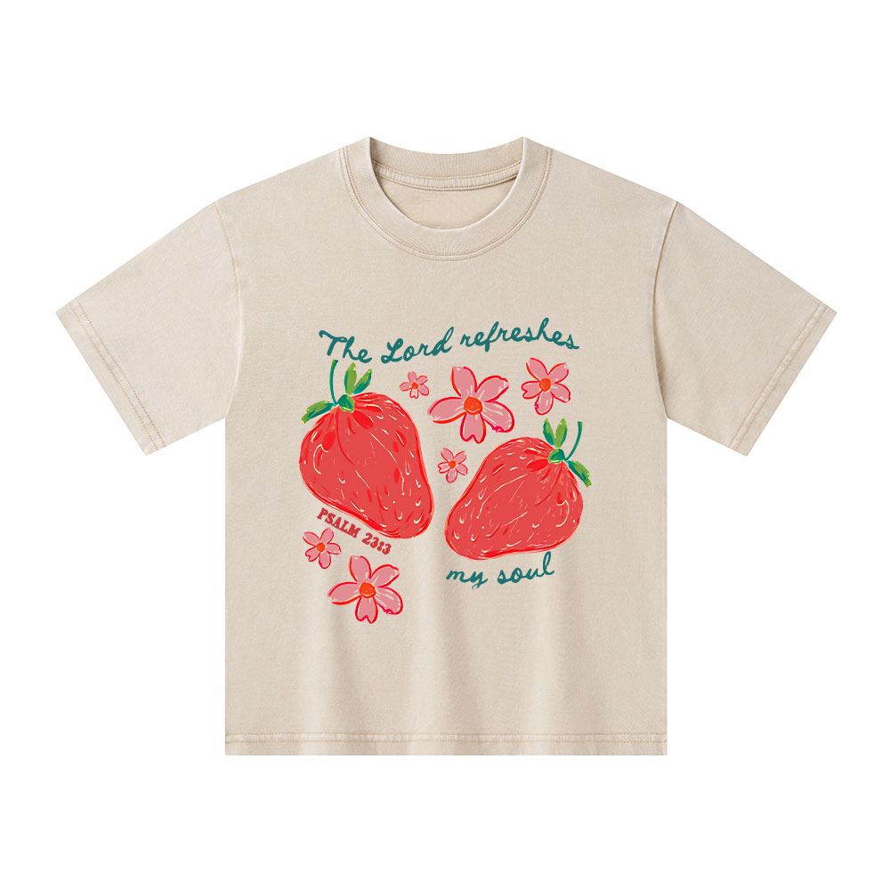 The Lord Refreshes My Soul Christian Washed T-Shirt