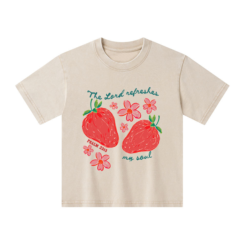 The Lord Refreshes My Soul Christian Washed T-Shirt