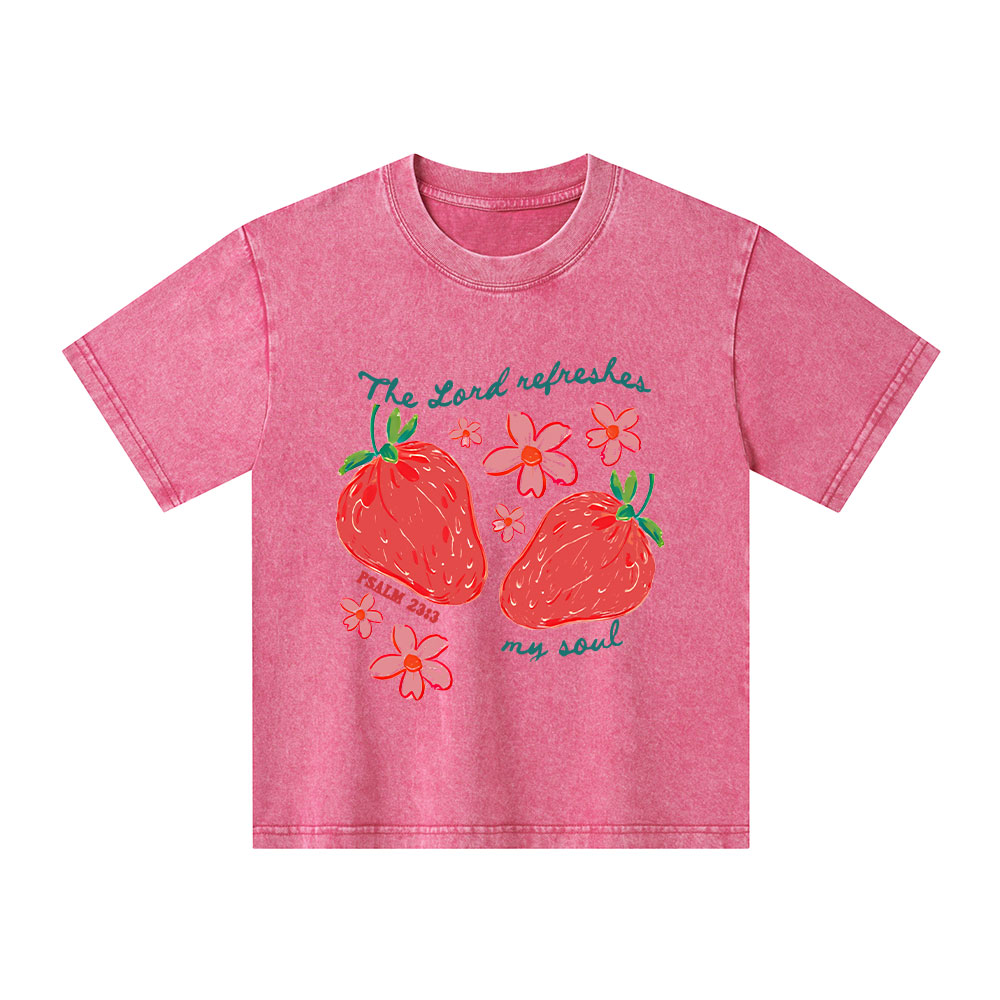 The Lord Refreshes My Soul Christian Washed T-Shirt