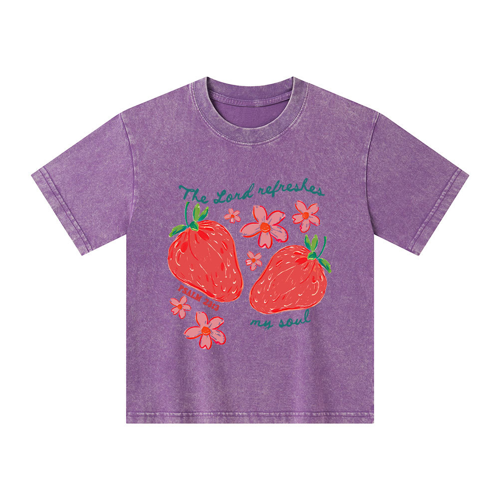 The Lord Refreshes My Soul Christian Washed T-Shirt