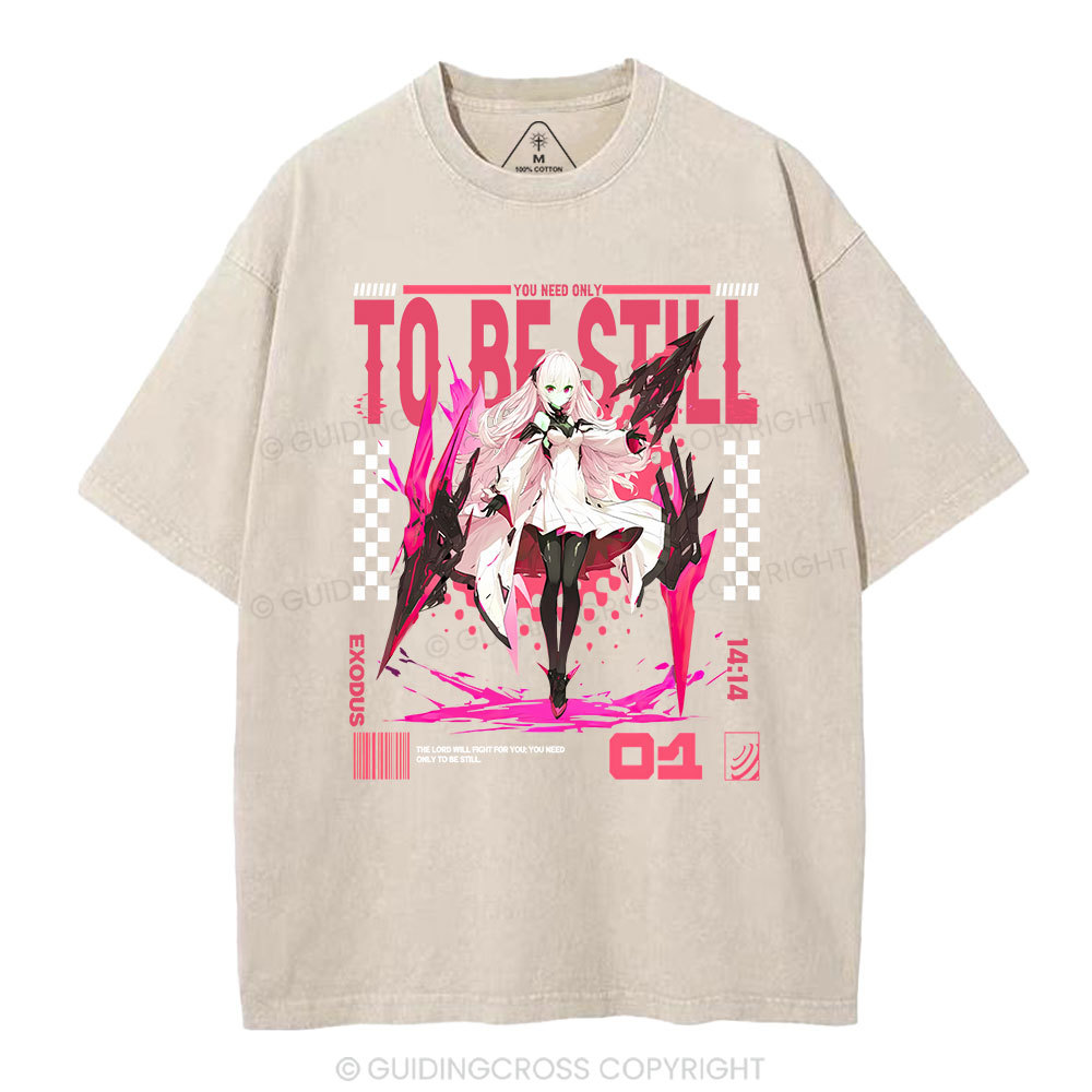 The Lord Will Fight For You Christian Washed T-Shirt