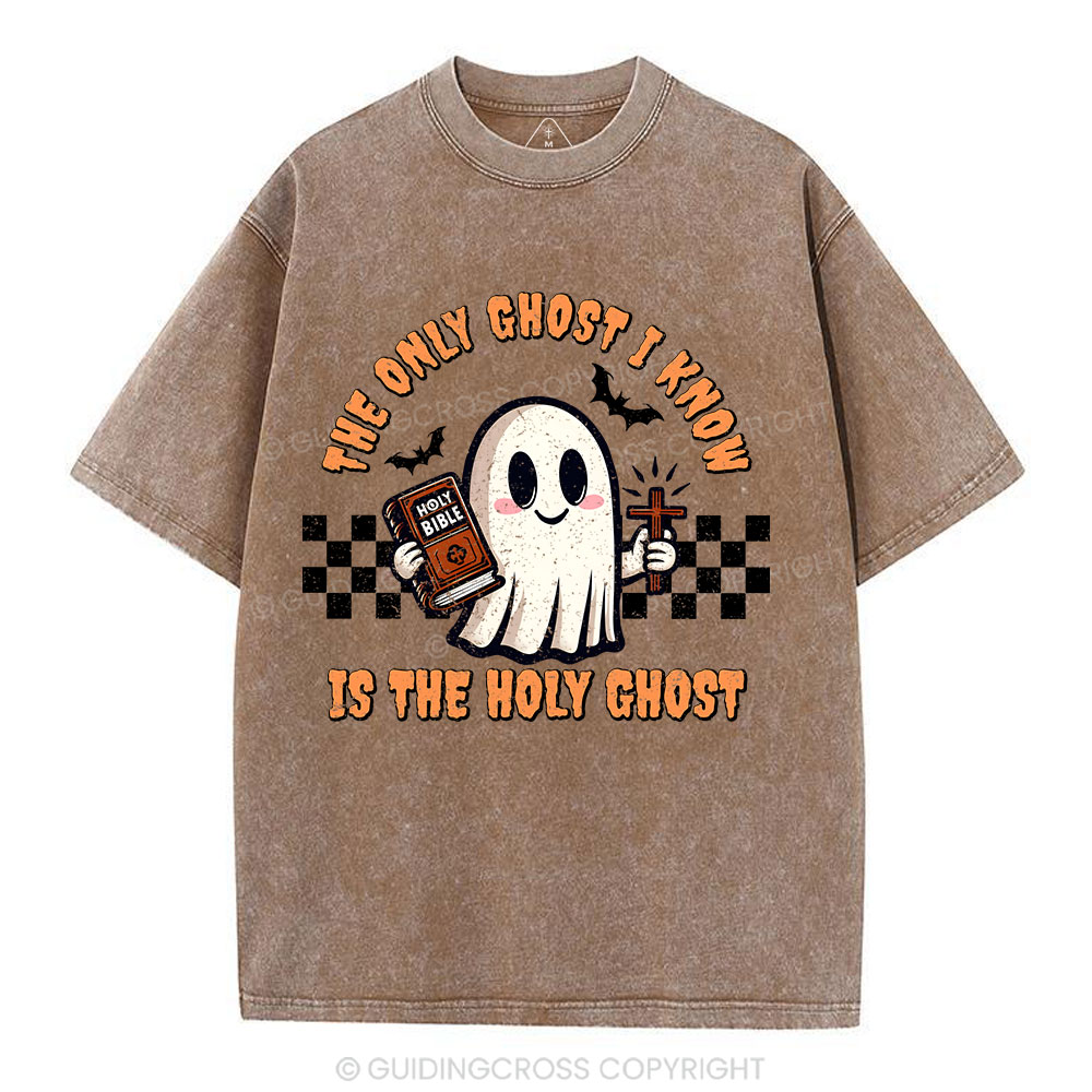 The Only Ghost I Know Is The Holy Ghost Christian Washed T-Shirt