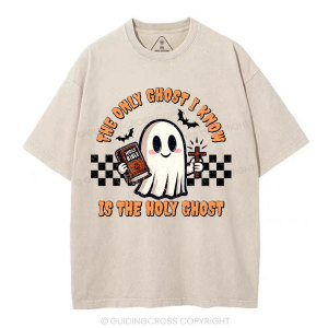 Image of The Only Ghost I Know Is The Holy Ghost Christian Washed T-Shirt