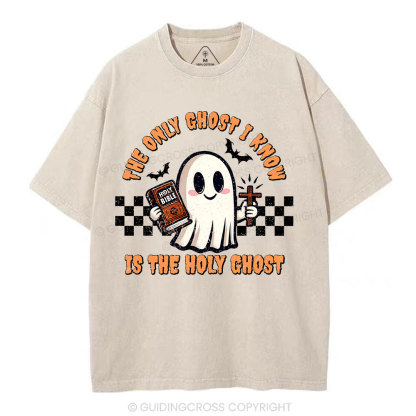 The Only Ghost I Know Is The Holy Ghost Christian Washed T-Shirt