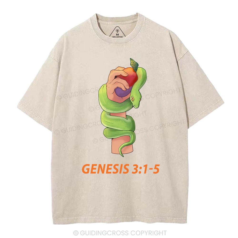 The Serpent’s Deception Christian Washed T-Shirt