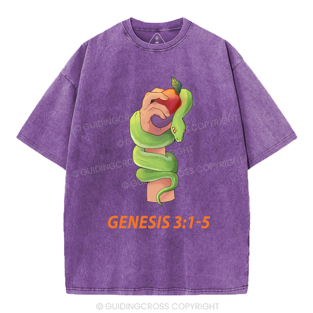 The Serpent’s Deception Christian Washed T-Shirt