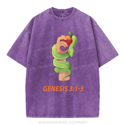 The Serpent’s Deception Christian Washed T-Shirt