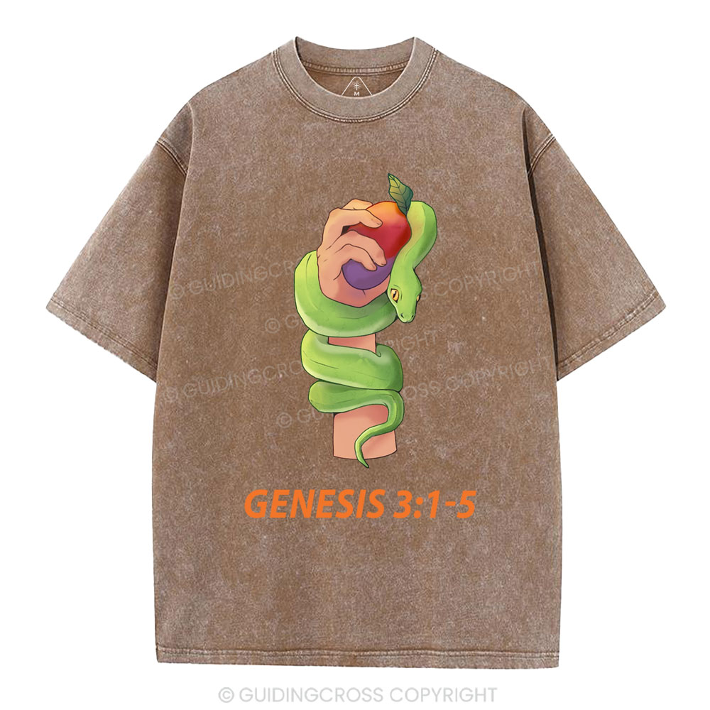 The Serpent’s Deception Christian Washed T-Shirt