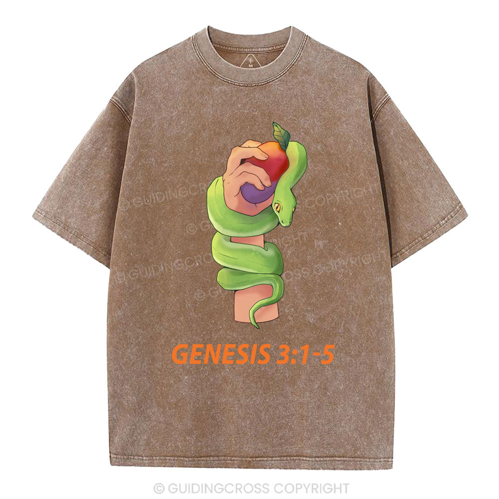 The Serpent’s Deception Christian Washed T-Shirt