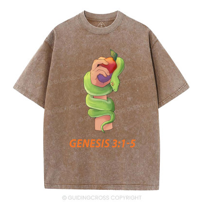 The Serpent’s Deception Christian Washed T-Shirt