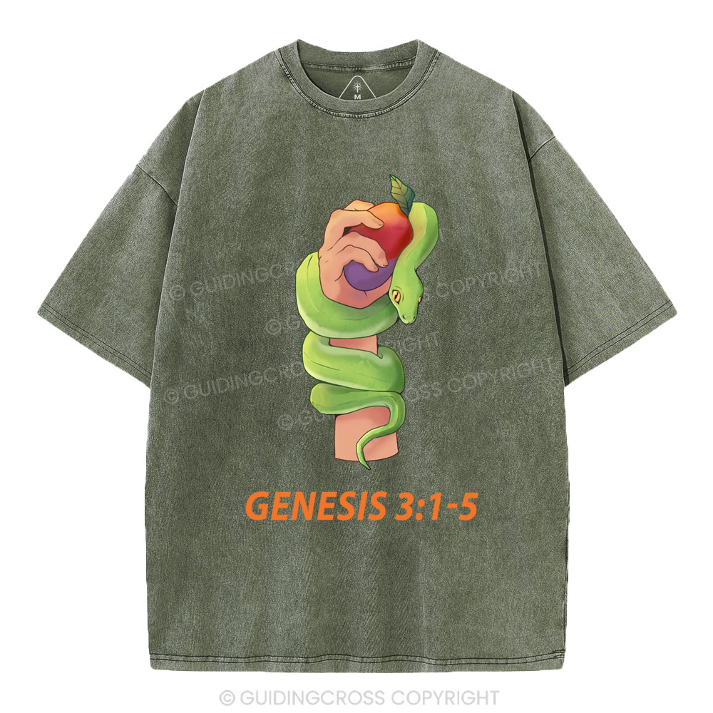 The Serpent’s Deception Christian Washed T-Shirt