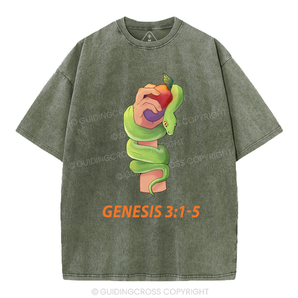 The Serpent’s Deception Christian Washed T-Shirt