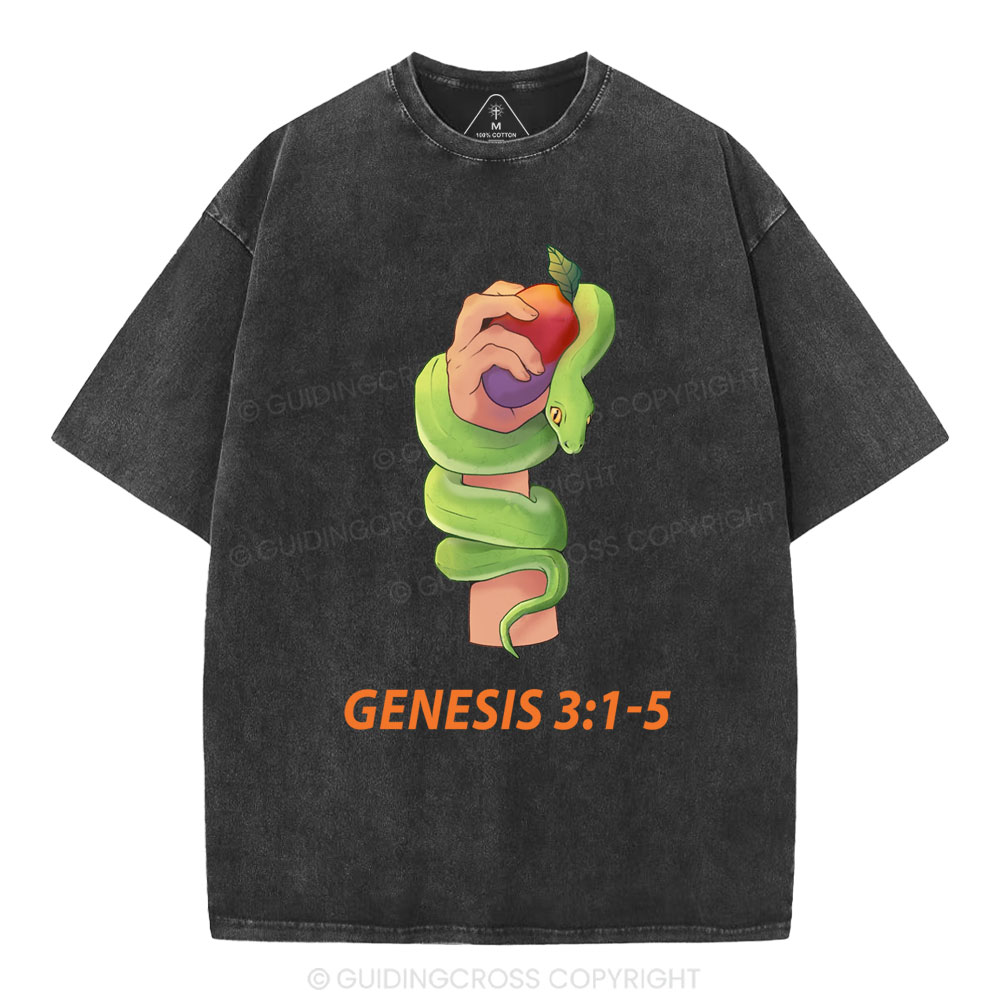 The Serpent’s Deception Christian Washed T-Shirt