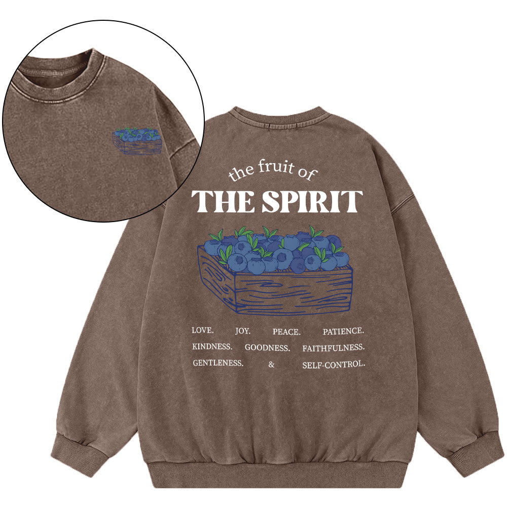 The Spirit Of Fruit Chirstian Washed Sweatshirt