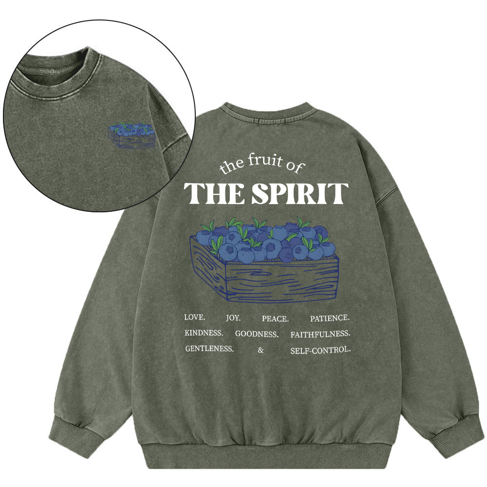 The Spirit Of Fruit Chirstian Washed Sweatshirt