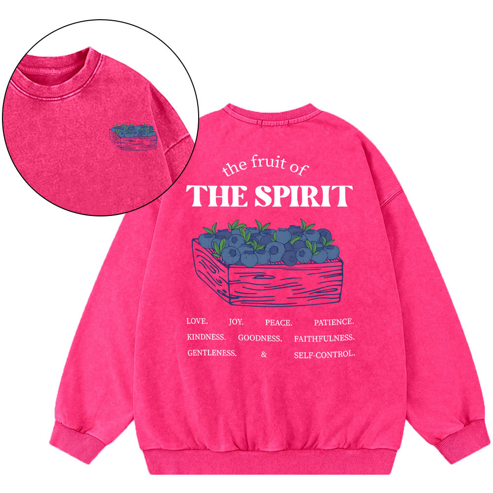 The Spirit Of Fruit Chirstian Washed Sweatshirt