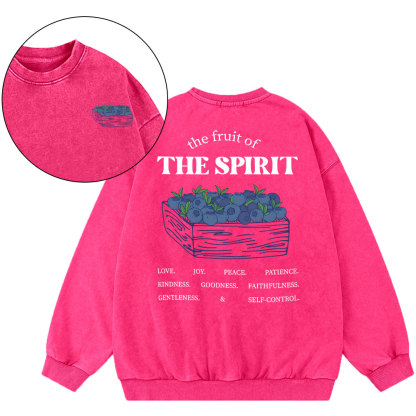 The Spirit Of Fruit Chirstian Washed Sweatshirt