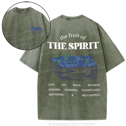 The Spirit Of Fruit Chirstian Washed T-Shirt