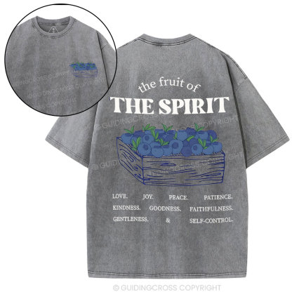 The Spirit Of Fruit Chirstian Washed T-Shirt