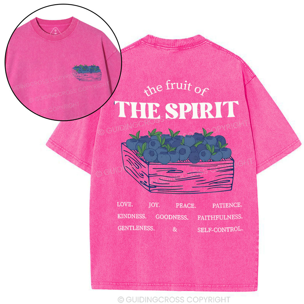 The Spirit Of Fruit Chirstian Washed T-Shirt