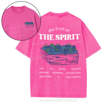 The Spirit Of Fruit Chirstian Washed T-Shirt