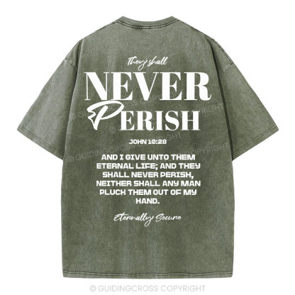 They Shall Never Perish Christian Washed T-Shirt