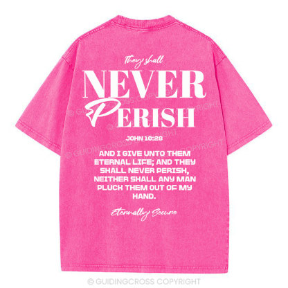 They Shall Never Perish Christian Washed T-Shirt