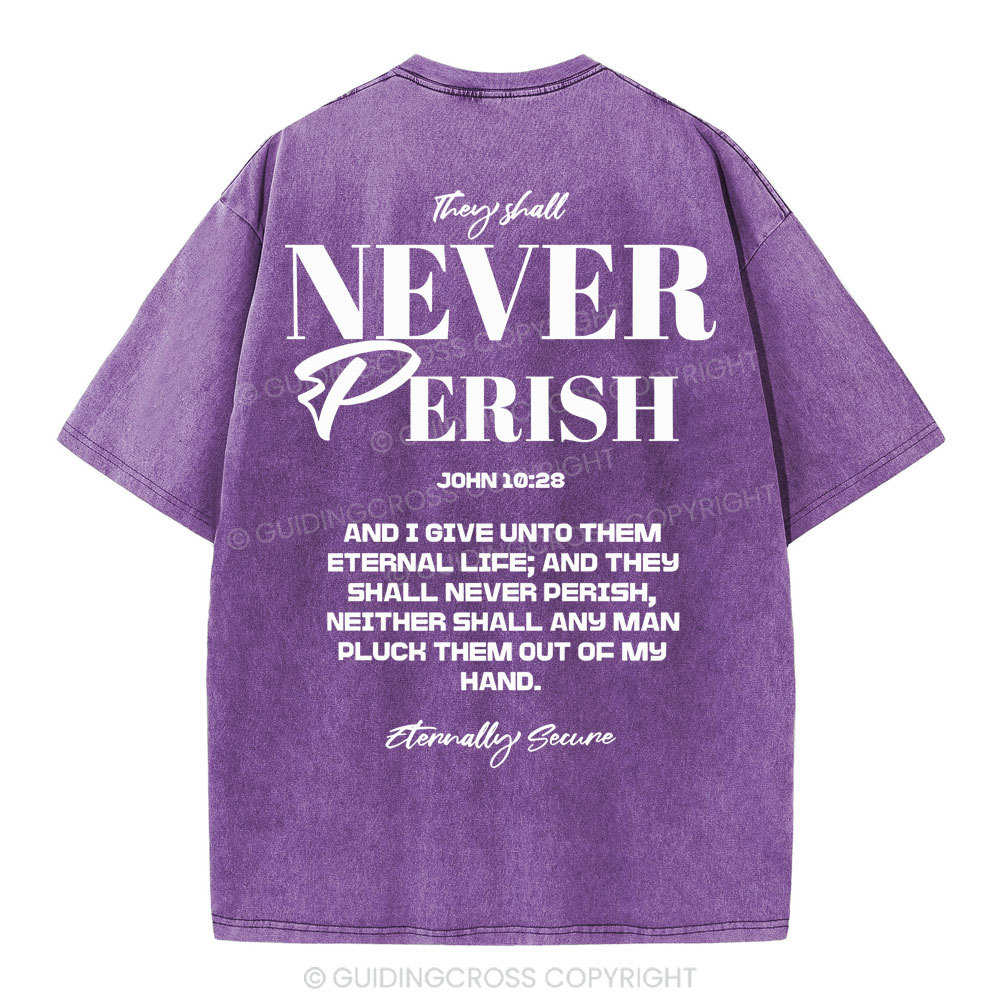 They Shall Never Perish Christian Washed T-Shirt
