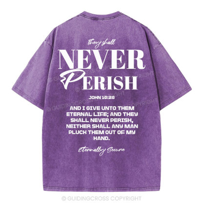 They Shall Never Perish Christian Washed T-Shirt
