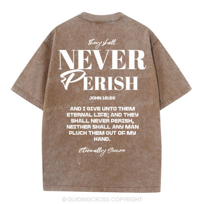 They Shall Never Perish Christian Washed T-Shirt