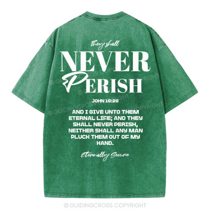 They Shall Never Perish Christian Washed T-Shirt