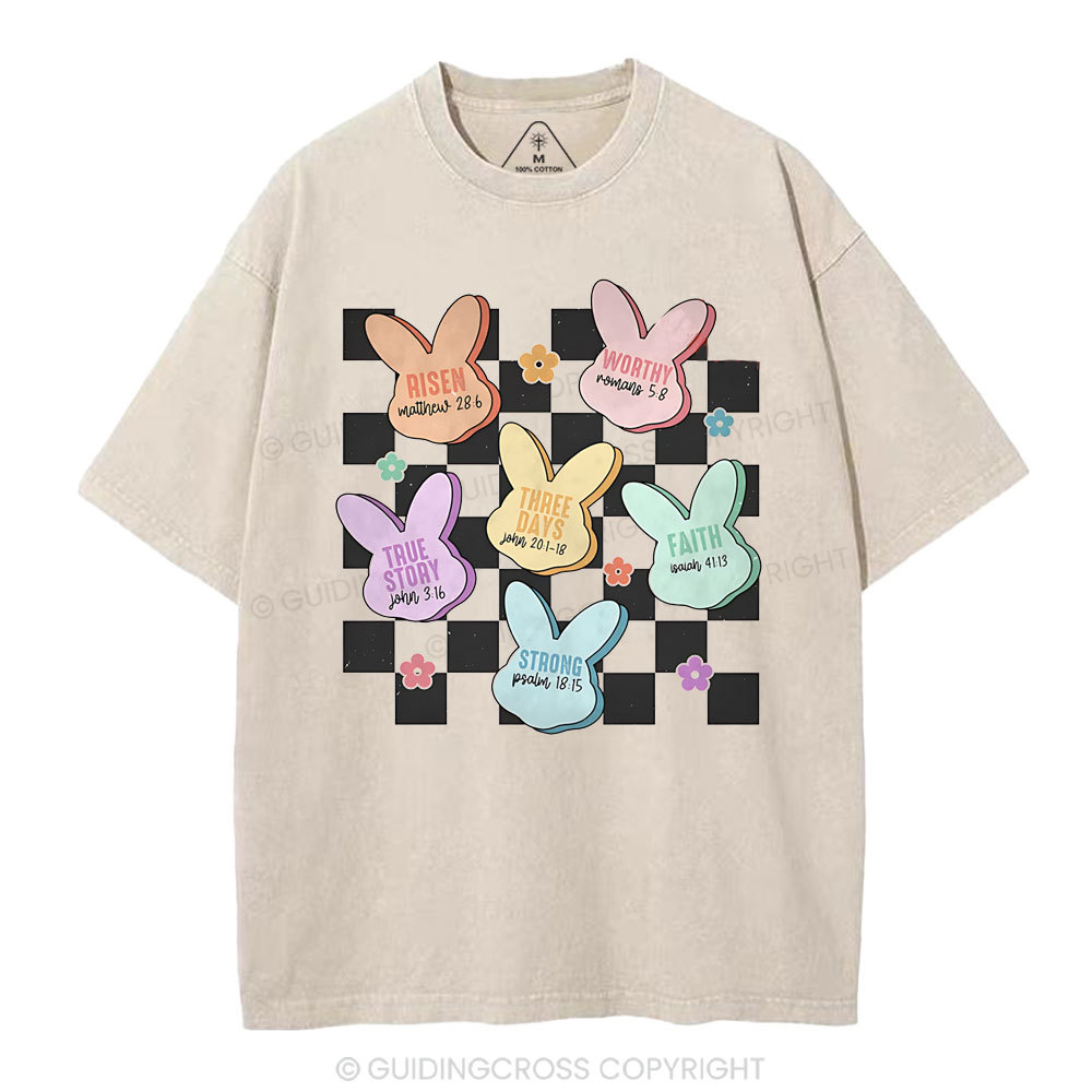 True Story Christian Washed T-Shirt