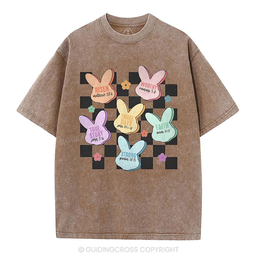 True Story Christian Washed T-Shirt