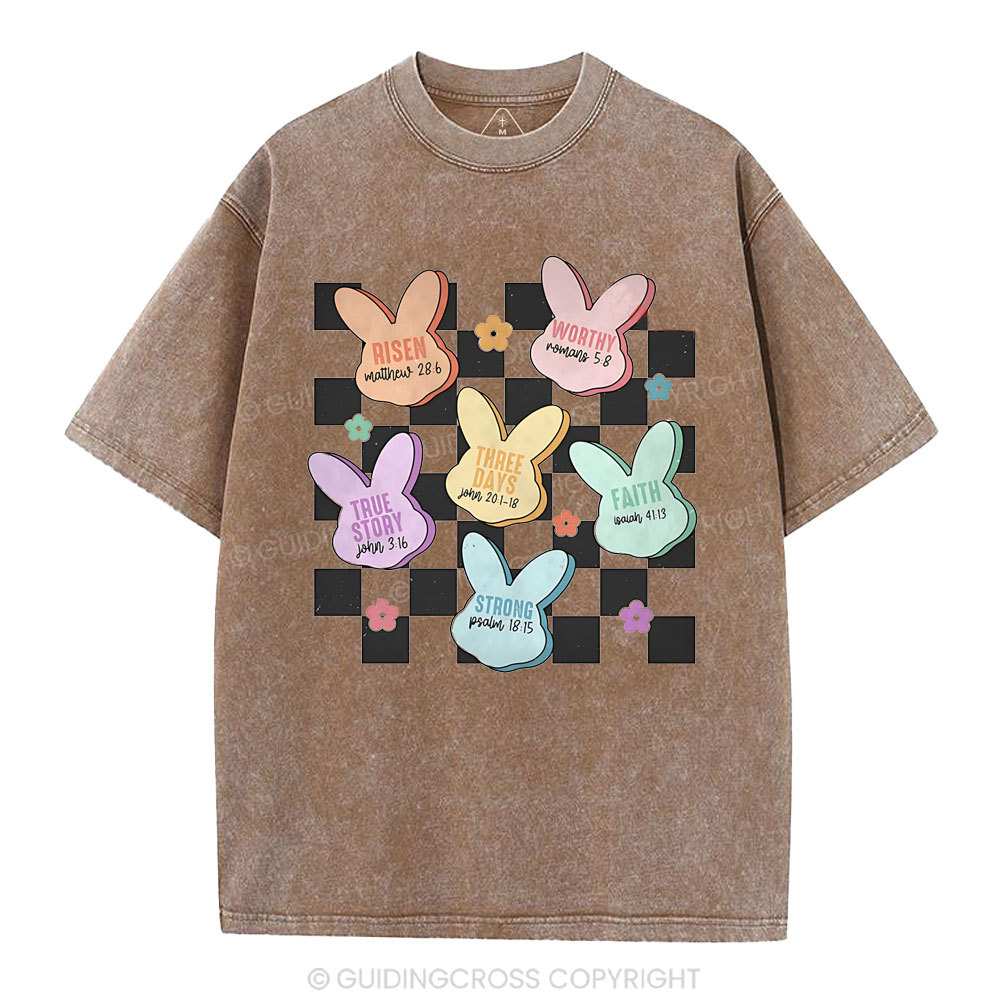 True Story Christian Washed T-Shirt