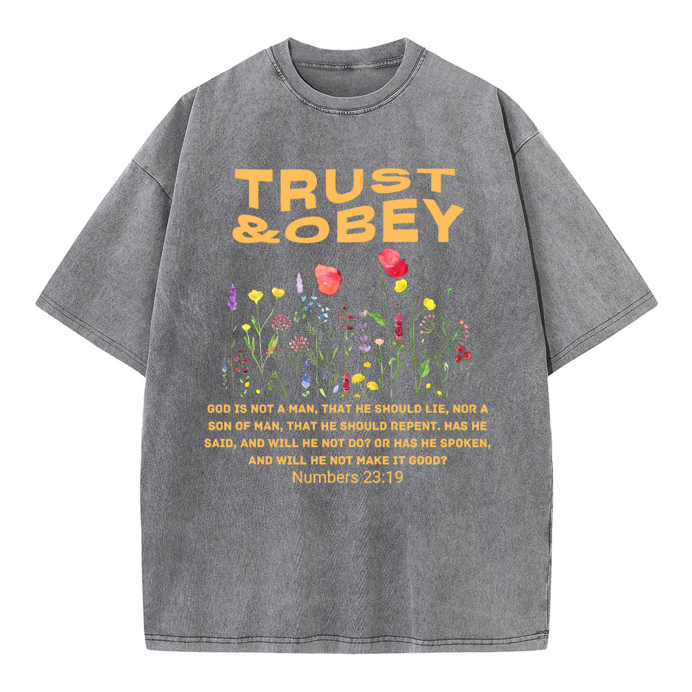 Trust And Obey Christian Washed T-Shirt