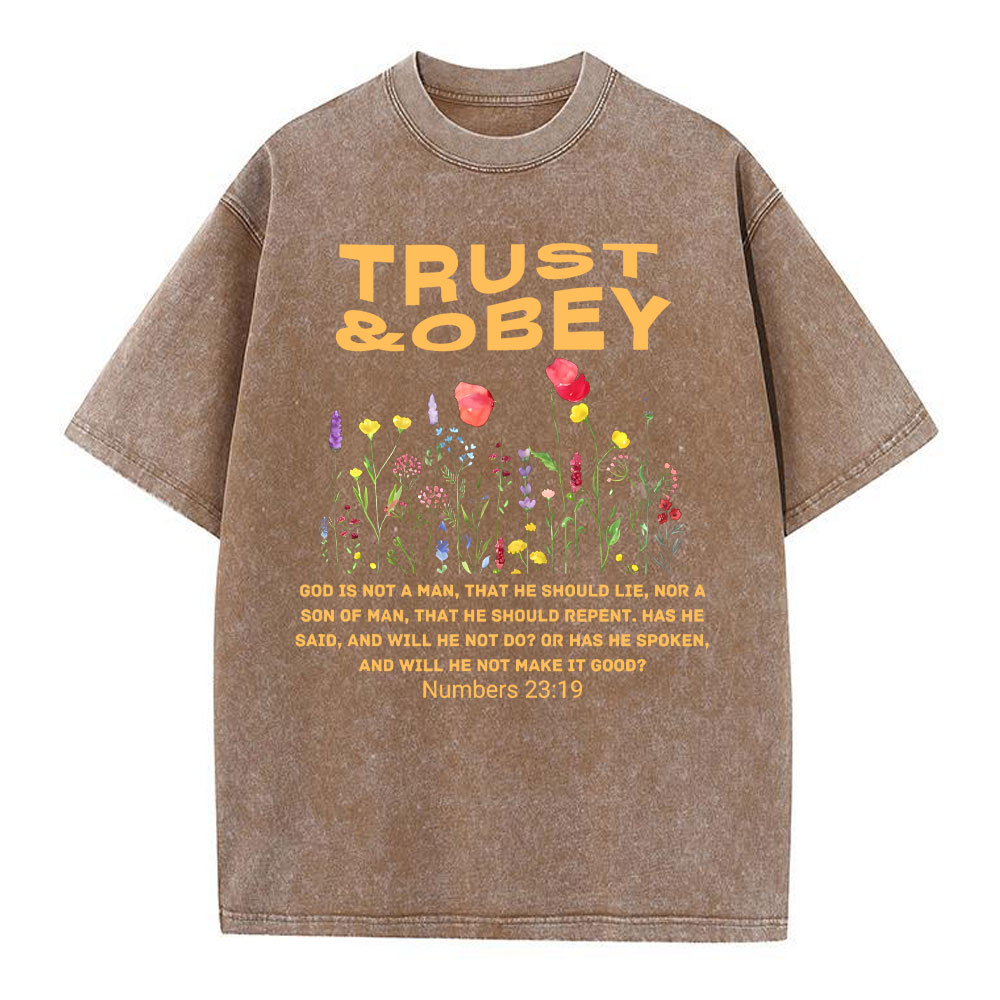 Trust And Obey Christian Washed T-Shirt