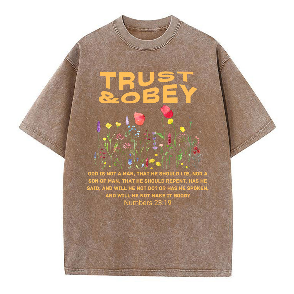Trust And Obey Christian Washed T-Shirt