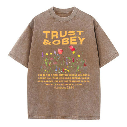 Trust And Obey Christian Washed T-Shirt
