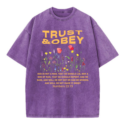 Trust And Obey Christian Washed T-Shirt