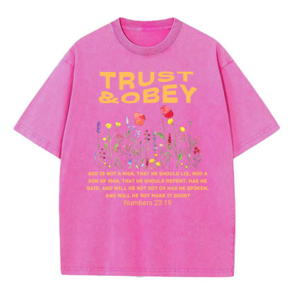 Trust And Obey Christian Washed T-Shirt