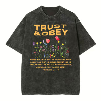 Trust And Obey Christian Washed T-Shirt